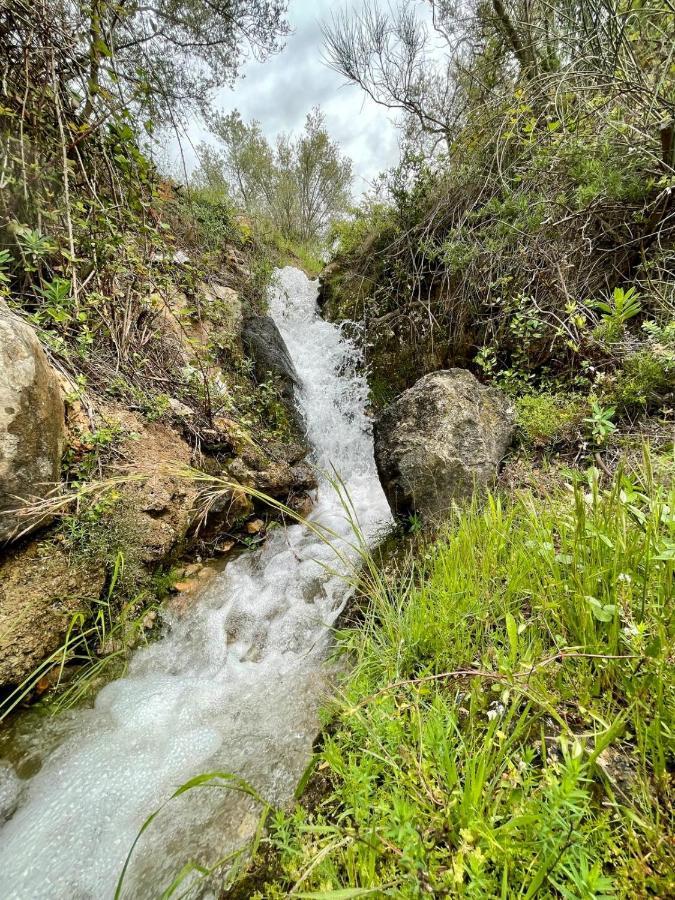 兰哈龙 Cortijo Samadhi旅馆 外观 照片