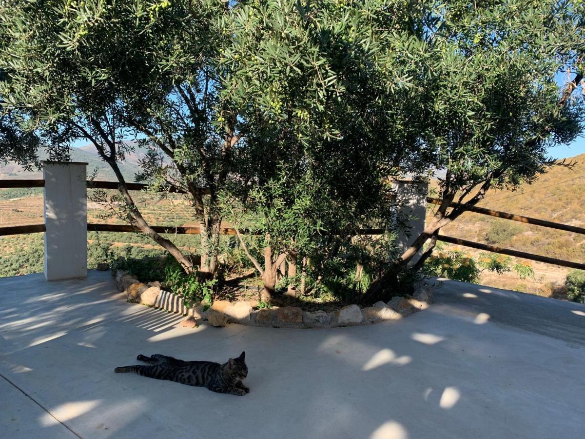 兰哈龙 Cortijo Samadhi旅馆 外观 照片