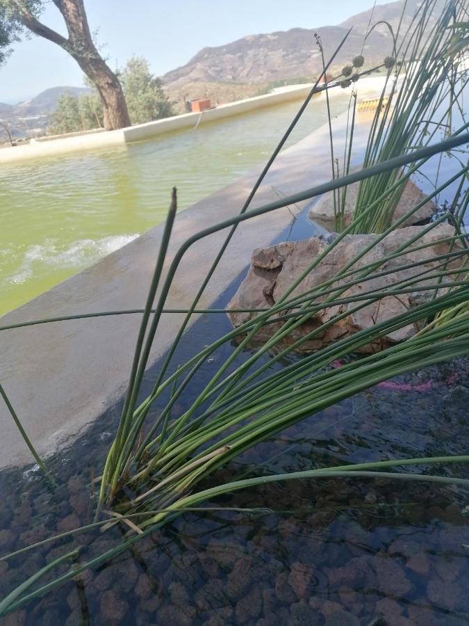 兰哈龙 Cortijo Samadhi旅馆 外观 照片