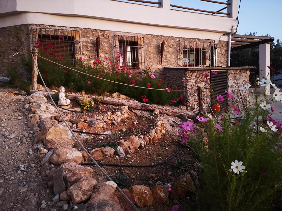兰哈龙 Cortijo Samadhi旅馆 外观 照片
