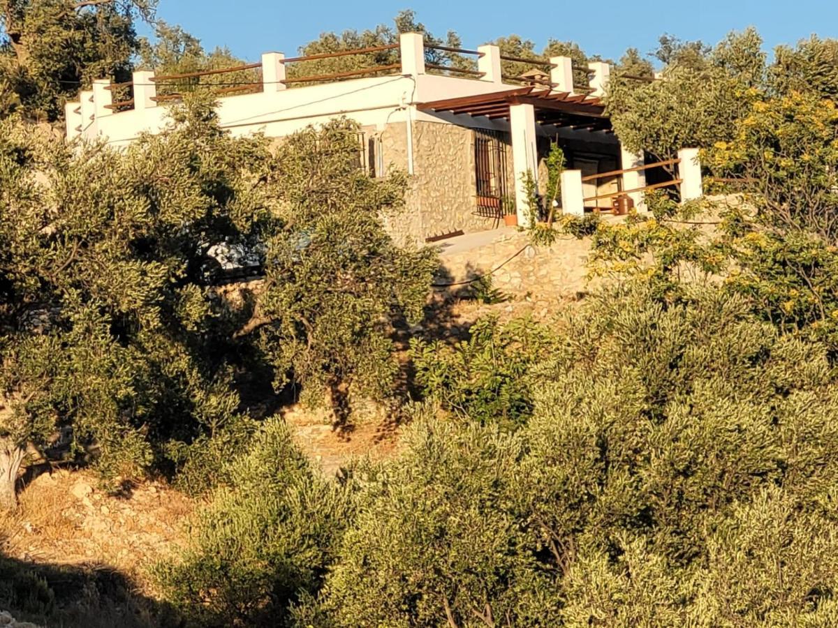 兰哈龙 Cortijo Samadhi旅馆 外观 照片